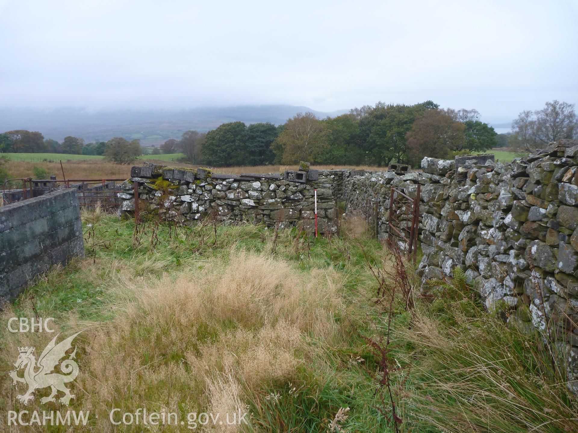 Ffridd Glap Sheep Pen II, viewed facing northwest