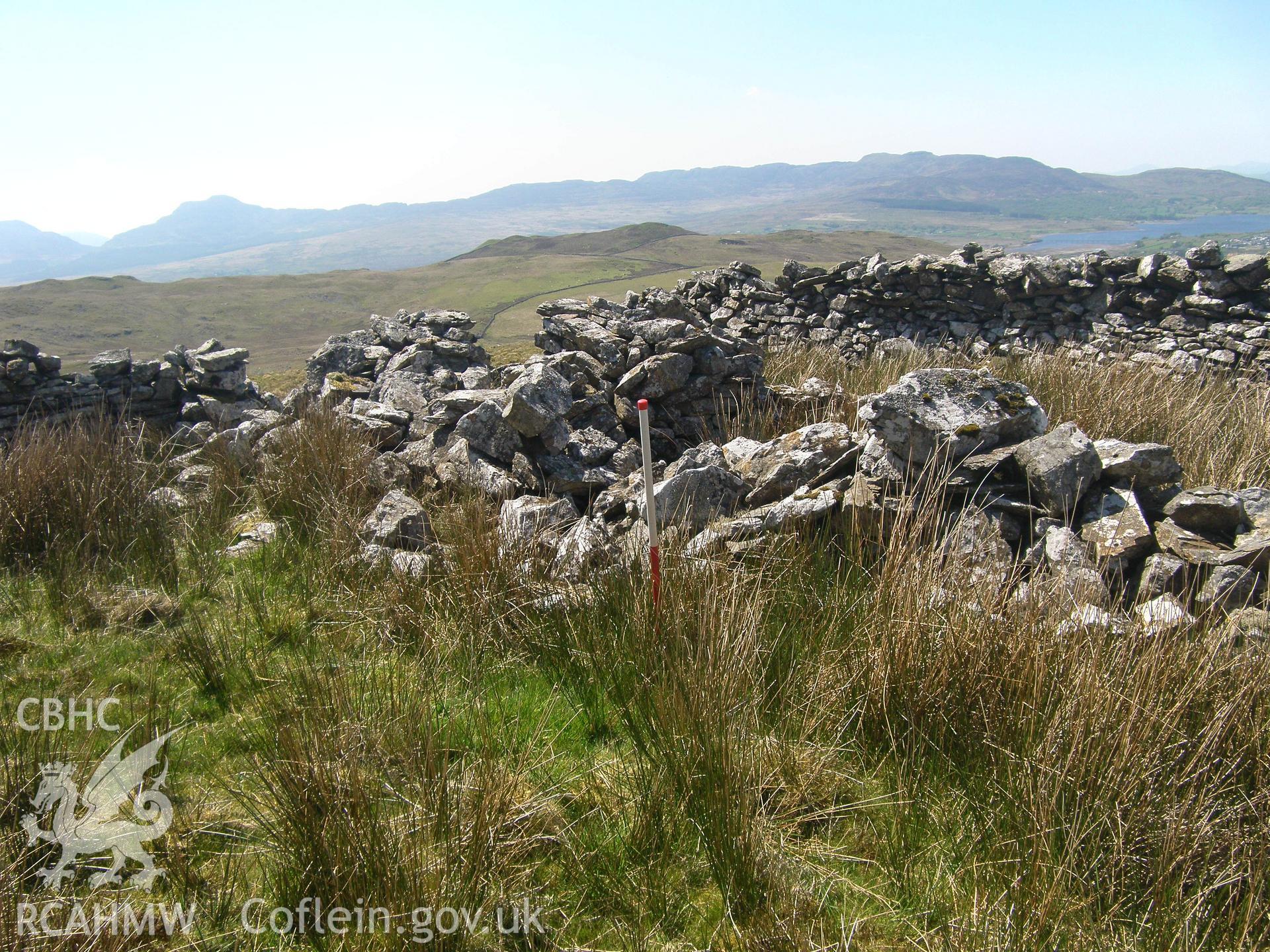 Moel Oernant Sheep Fold III, viewed facing southwest