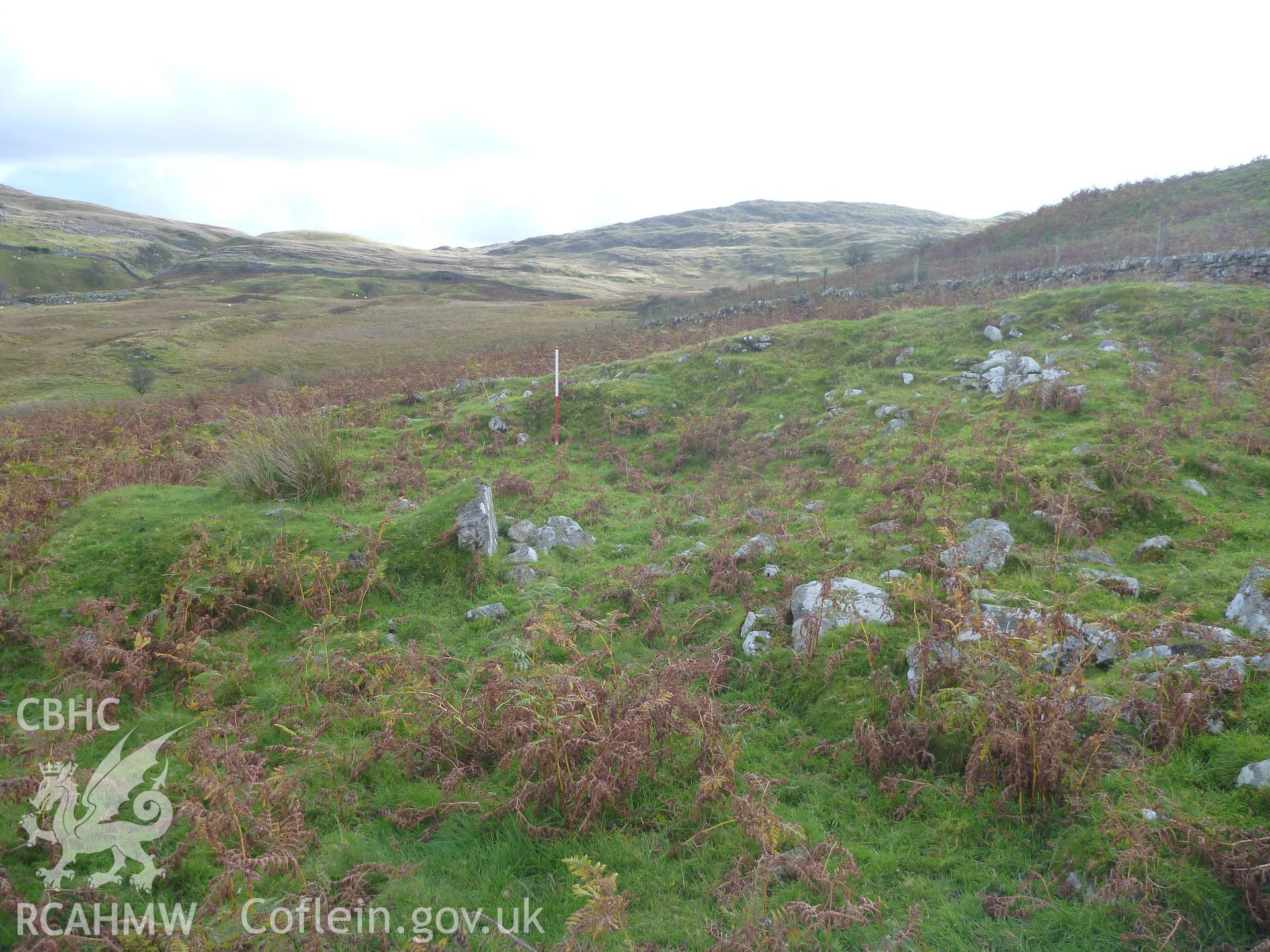 Ffridd Bod-y-Fuddau Enclosure Bank I, detail of possible structure viewed facing southeast