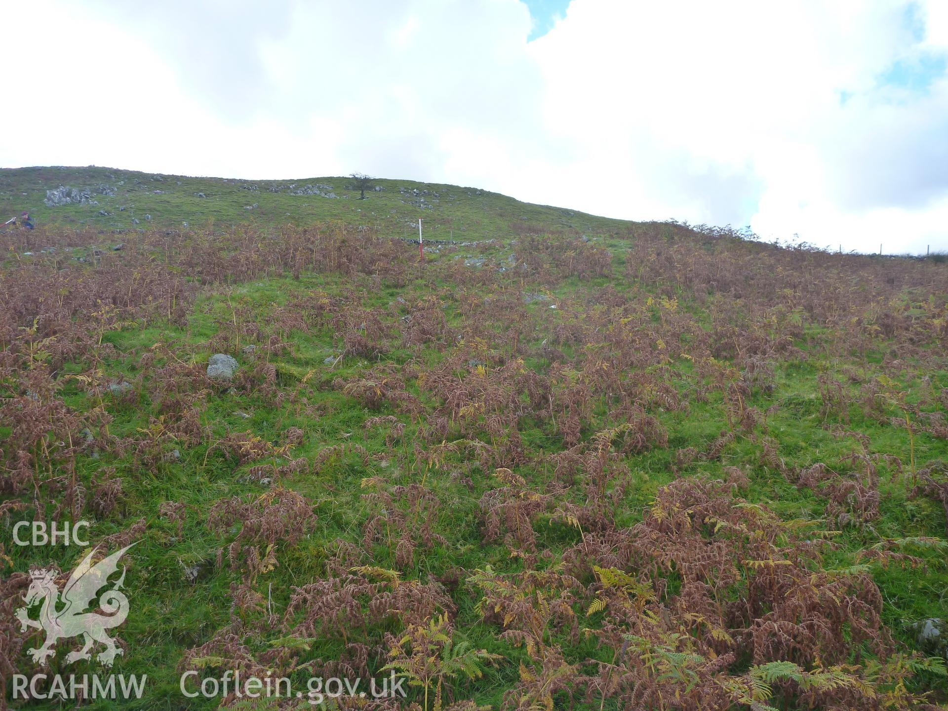 Ffridd Bod-y-Fuddau Hollow Way I, view facing west through enclosure entrance