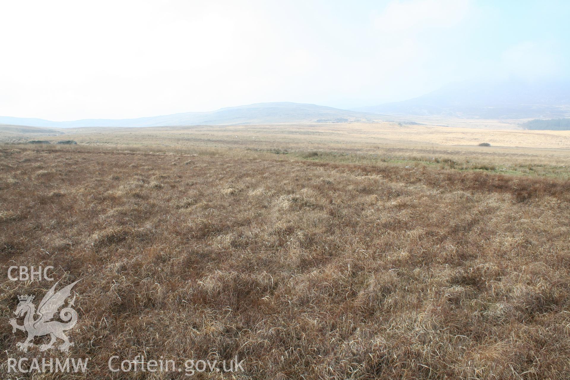 Peat cutting, looking west