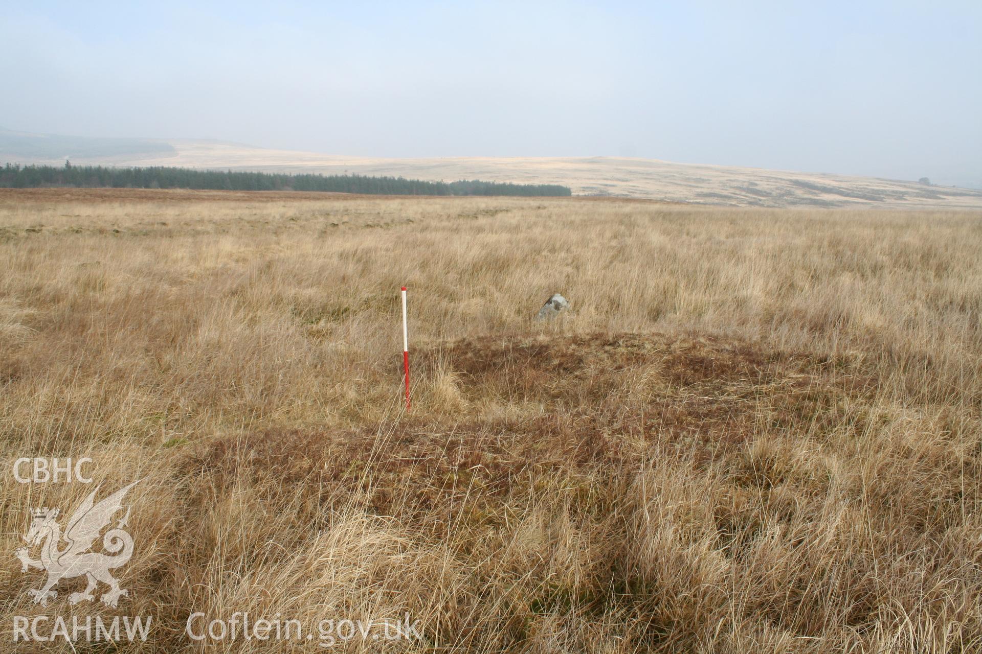 Burnt mound, looking north